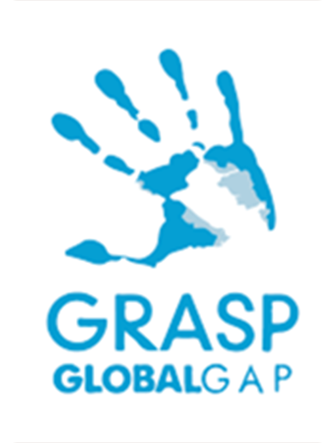 GRASP1