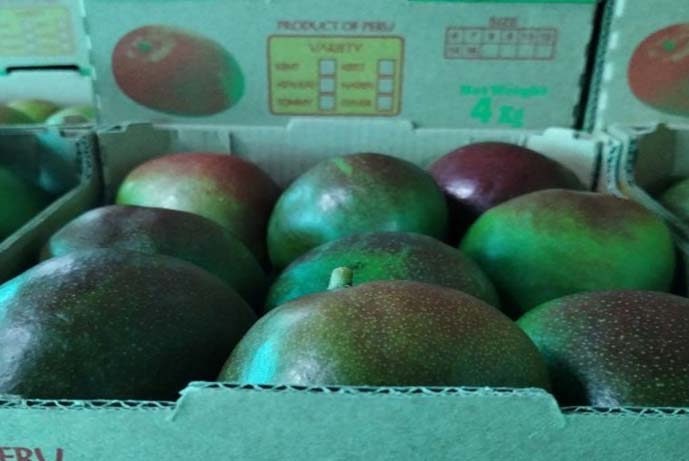 mango2