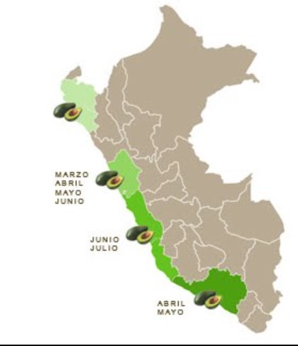 mapa de palta